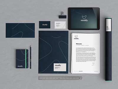 Visualfy 2 brand branding design identity logo logotype stationary