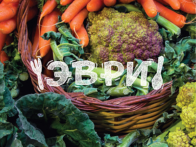 Logo concept for a grocery delivery company grocery delivery logo hand drawn logo lettering logo lettering logotype linocut linocut logo linocut style logo design logotype design