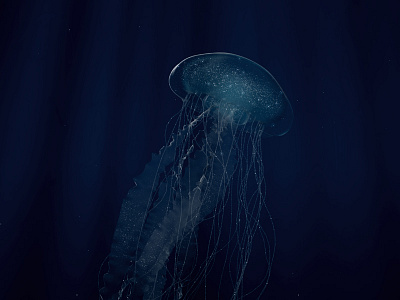 Jellyfish 3d jellyfish