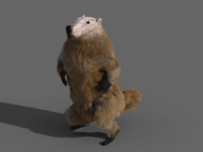 Dancefloor Loner 3d animation character dance fur marmot