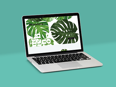 Monstera – web design app branding design flat icon illustration lettering typography ui ux vector web