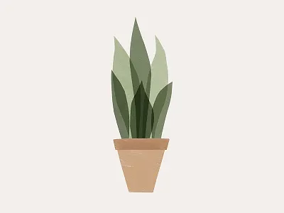 Snake Plant illustration minimal paint plant plants simple snake