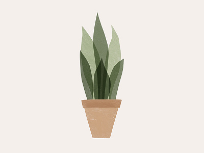 Snake Plant illustration minimal paint plant plants simple snake