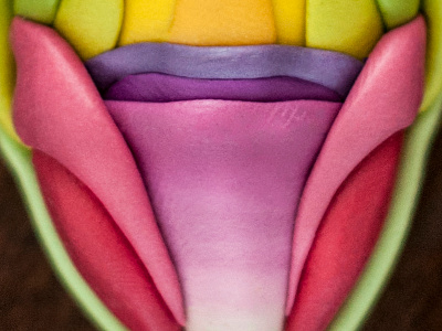 Chrysalis #3 experiment nature olgaprotasova organic plasticine plastillustration symmetry