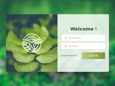 Web Page Login loginpage ui webapps webdesign