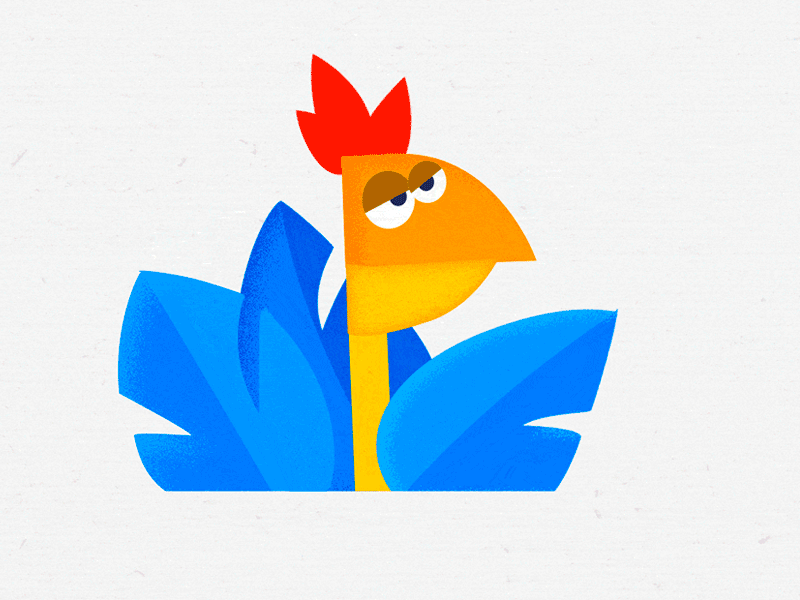 Animated Typeface animation bird free gotham illustration letter