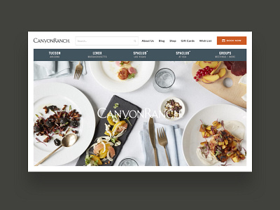 Canyon Ranch canyon ranch design digital health luxury night blue orange website wellness white