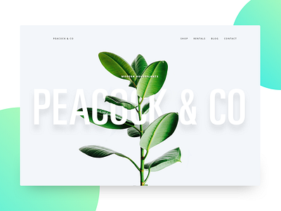 Peacock & Co botanical landing page long beach plants succulents ui user interface web website