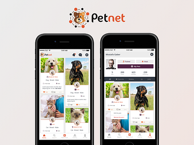 Petnet App android app cards cat dog egypt ios list mobile orange pet smart