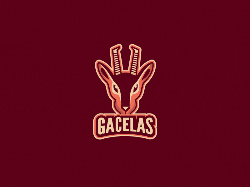 003- Gacelas 365rounds gif motiongraphics sports