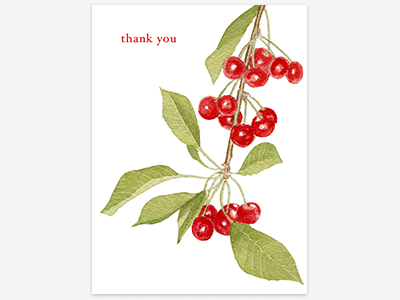 Cherries Thank You Card hand drawn stationery watercolor