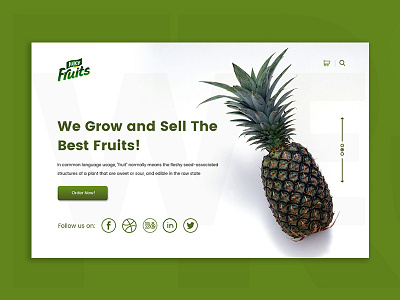 Pine apple banner creative banner design creative ui daily ui fruits banner pine apple design ui