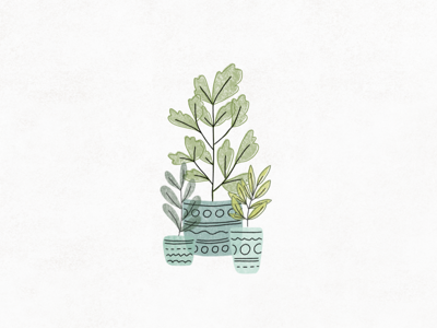 Plants in Pots illustration plant