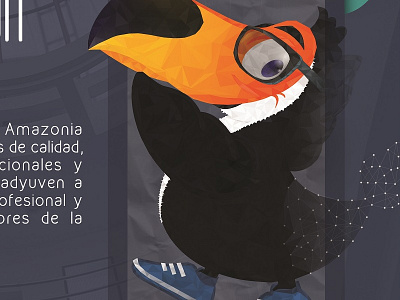 Tuqui in Low Poly at our Magazine amazonia branding logo toucan tuqui