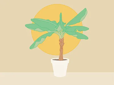 Banana Plant affinity art banana lines plant pot simple
