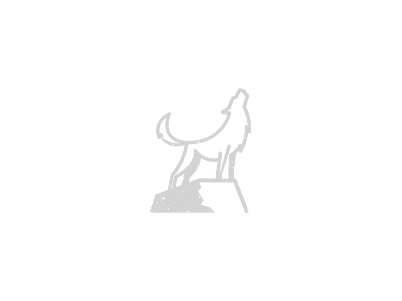 Pablo Pacheco's Brand Construction digital grids guides illustration logo psychologist vector wild wolf