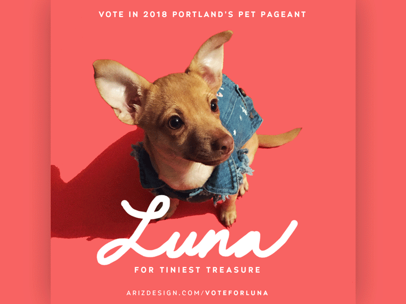 Vota por Luna! animation luna