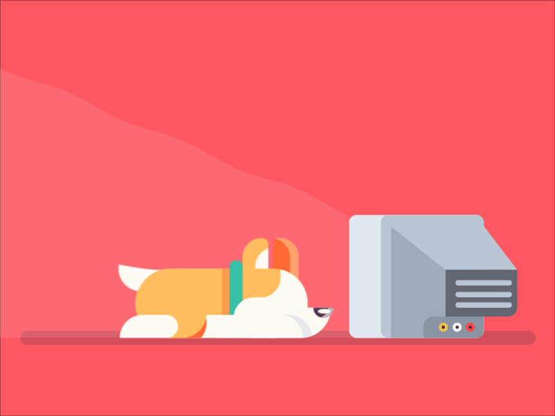 Corgi after animation corgi gif illustration motion