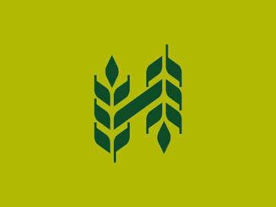 Dribbble1 field grain harvest organic