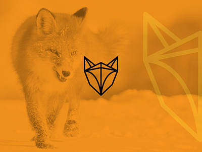 Fox Poly Icon. abstract design fox icon illustration lines logotype mark polygonal