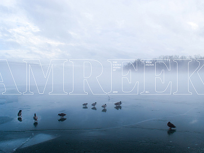 Hello, Washington, D.C. america blue dc fog mist photo serif states tree typography united washington