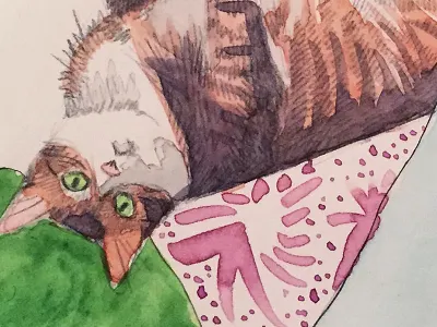 Roo cats illustration painting watercolor