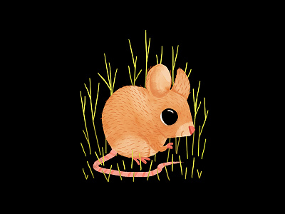 Wood mouse animal cute illustration mouse nature wood mouse