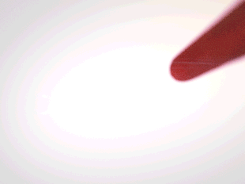 Complex Flavors ae c4d cinema4d cycles4d openvdb wine xp xparticles