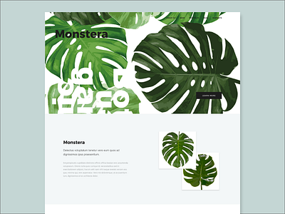 Monstera 2d app branding design illustration logo typography ui ux vector web