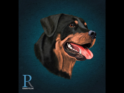 Rottweiler Dog dog high detail illustration painting photoshop poster print print on demand realistic rottweiler rottweiler illustration t shirt