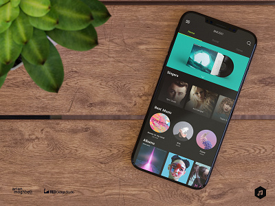 8music iOS App iphone music ui ux