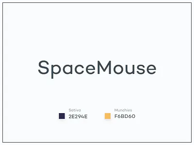 #Typehue Brandom Week 1: SpaceMouse brandom typehue