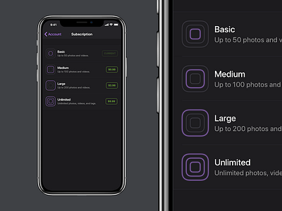 Subscription Tier Icons app icon in app purchase ios levels subscription