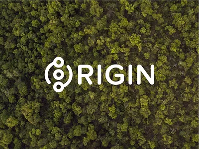 Origin Logo branding icon logo logotype typography wordmark