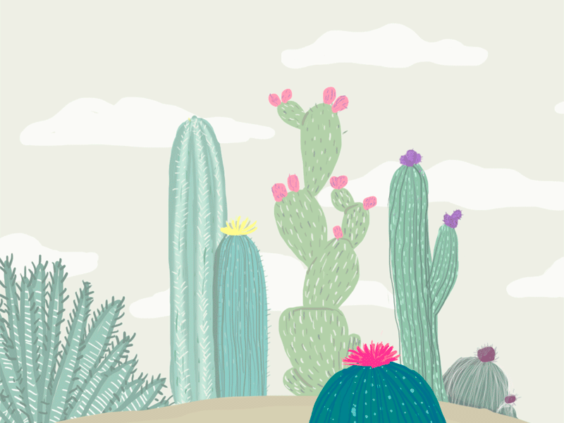 Cactai cactai catus clouds desert green