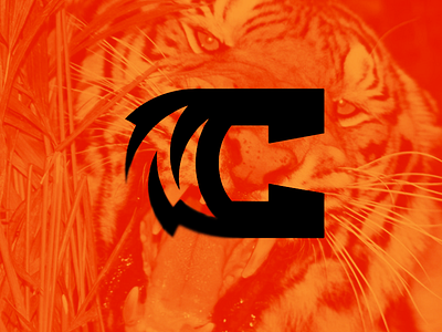 Cincinnati Bengals concept football logos nfl sports