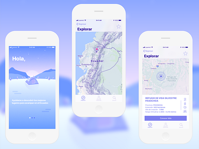 Camping Locator - Ecuador illustration mobile design