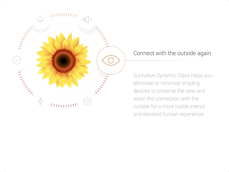 Wheel of advantages about advantages animation business css muzli sun ui ux view web wheel