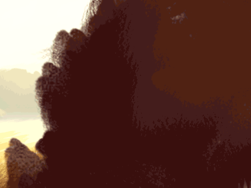 Scared Deer animal concept deer deer animation aftereffects deer running eating illustrator run running tree walk