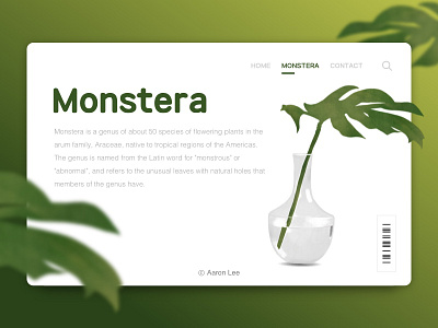 Monstera drawing monstera sketch ui ux