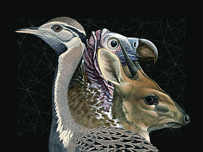Dream team #3 birds collage dreamteam linear memoryshapes monkey wolf