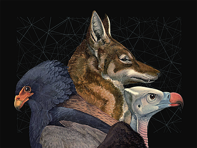 Dream team #1 birds collage dreamteam linear memoryshapes monkey wolf