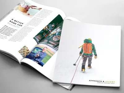 Annual Report Concept annual report book concept layout print