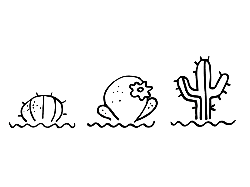Prickly Pear icons animation branding cactus gif icons