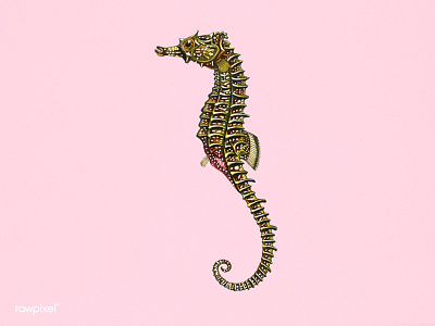 Sea horse animal art creative horse illustration sea seahorse