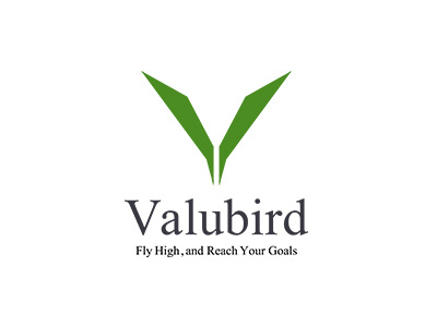 Valubird accountingfirm bird consulting green identity logo minimal