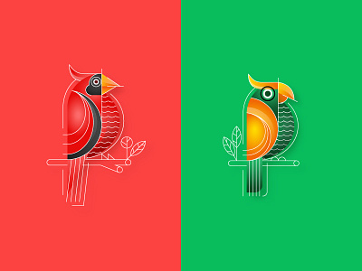 Bird Visual Exploration bird black exploring geometric green illustration line northern cardinal gradient orange parrot red studio pinus