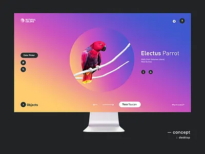 Natural Colors bird color colorful parrot