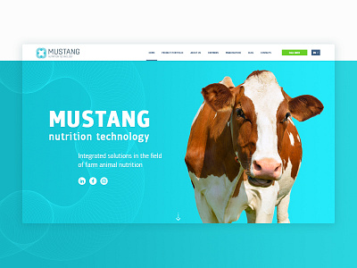 MUSTANG | Web blue corporate cow home page photoshop ui ux webdesign