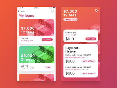 Loan manager / Hello Dribbble! banking debut loan money ui